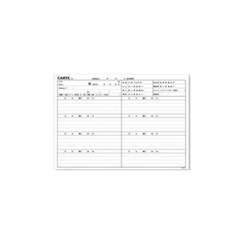 カルテ　SPC/512　500枚