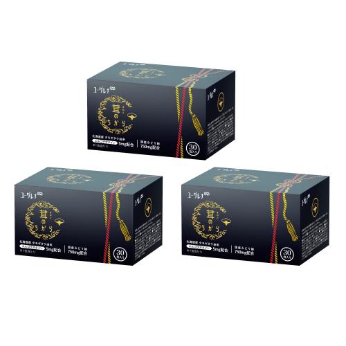 【3個パック】茸のちから 30包入り