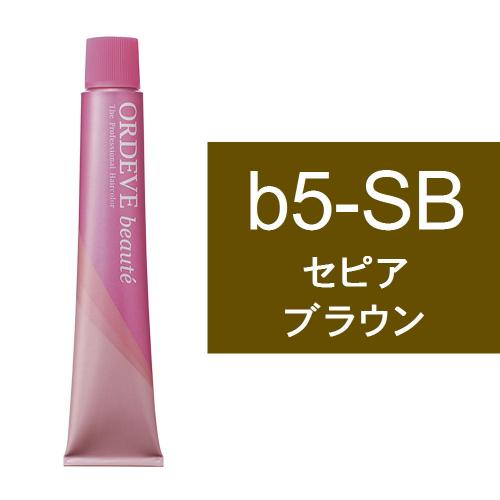 オルディーブボーテ b5-SB(セピアブラウン)80g