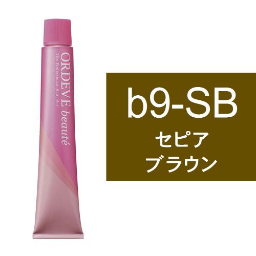 オルディーブボーテ b9-SB(セピアブラウン)80g