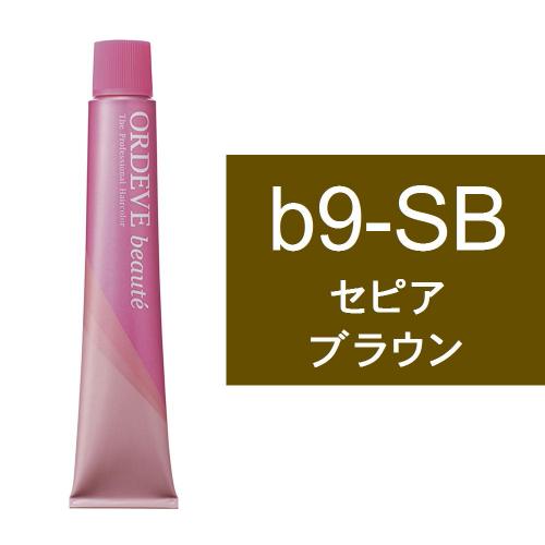 オルディーブボーテ b9-SB(セピアブラウン)80g