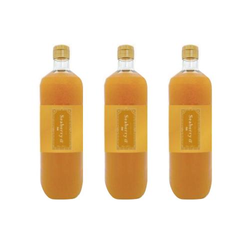【3+1】サジーα フェール　900ml