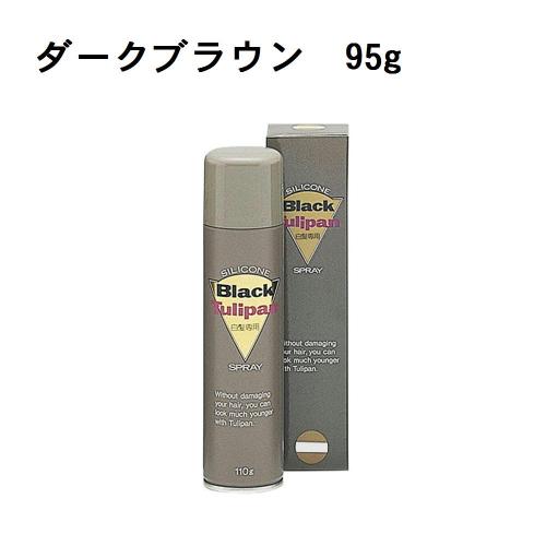 チュリパンEXカラースプレー　95g　ダークブラウン